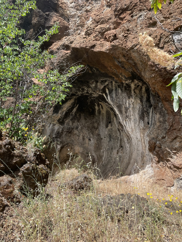 017331DB-5E9D-42C2-AE69-F66BB431A467