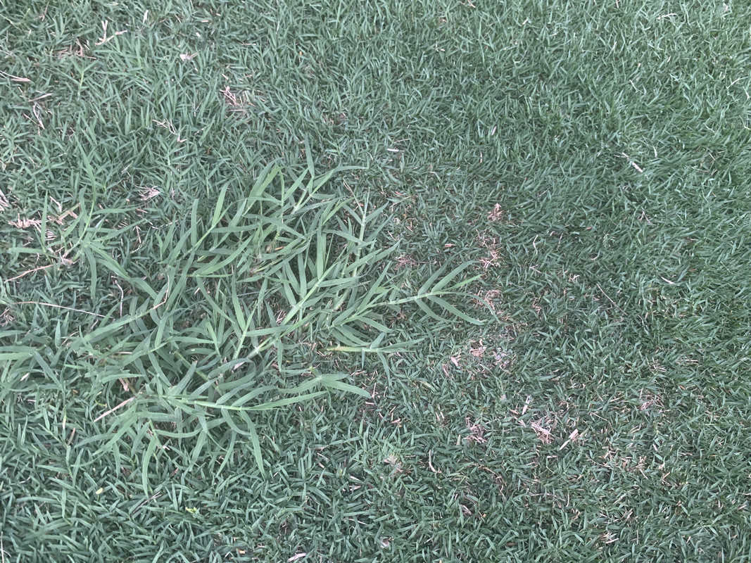 42BCDAD3-F7D3-4703-8A46-76FA647214D1