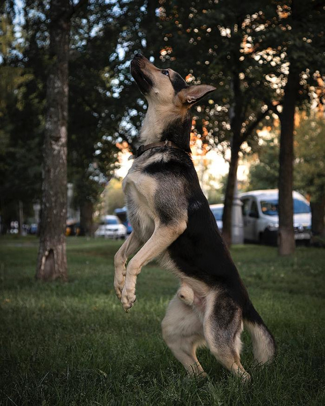 8DFE91B4-3D2B-4312-BA75-76936BB11127