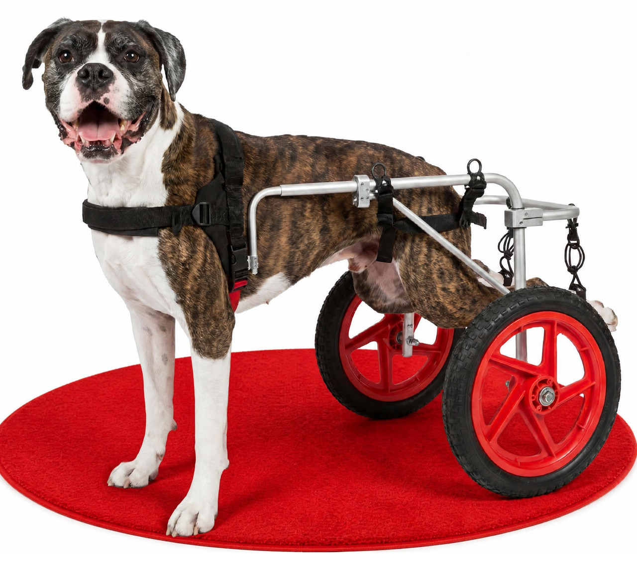 Best Friend Mobility X-Large Dog Wheelchair PRD-XL