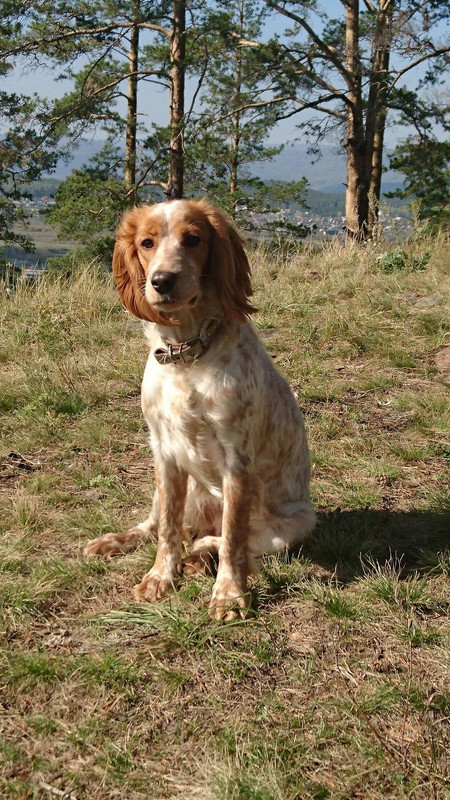 64ad40c5447ff3650fb2ea5b68b0b233058dc8266538668