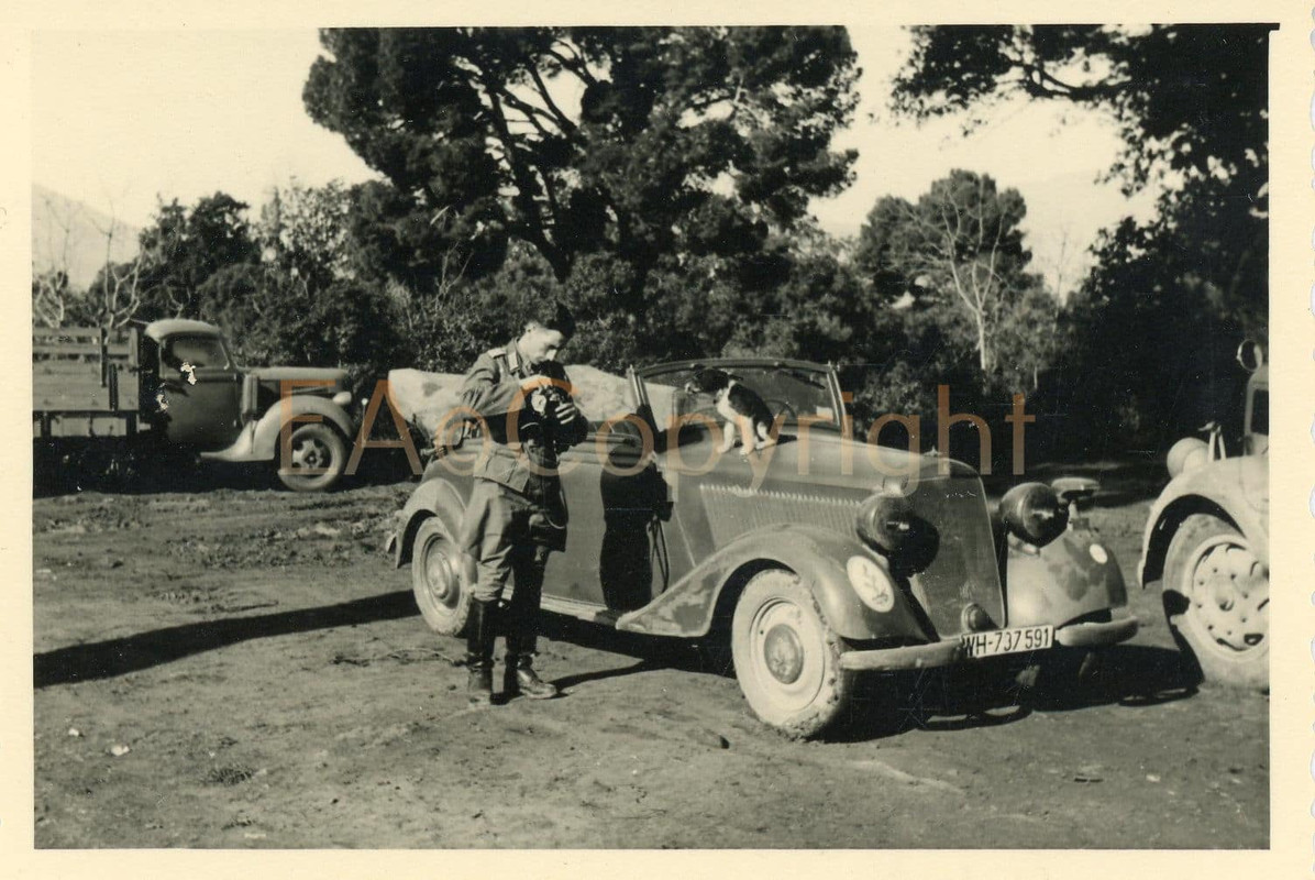 Italien Cabrio Wappen Kennzeichen Kübelwagen Wag