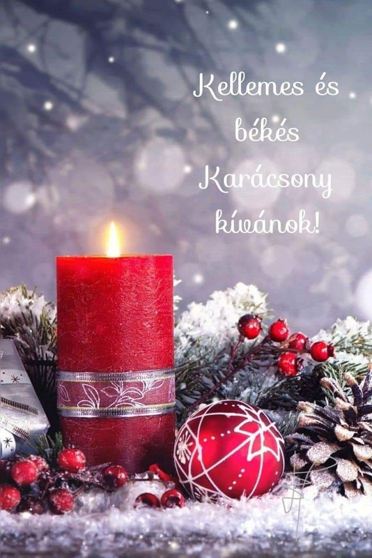 FB_IMG_1703357868366