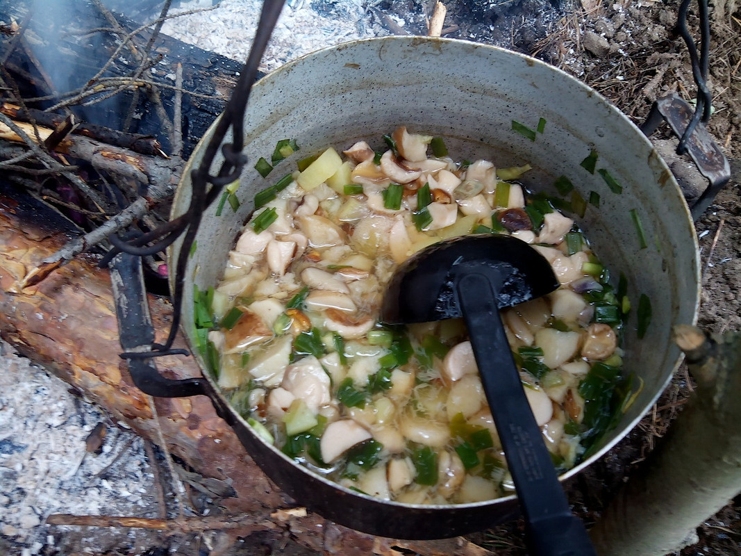 Грибалка 10-12.07.15 г 06