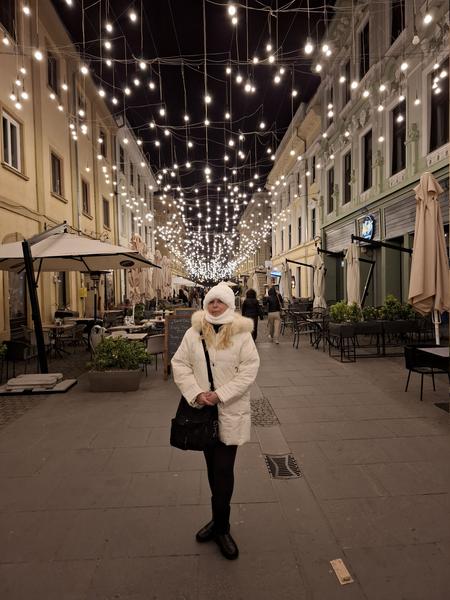 Slika