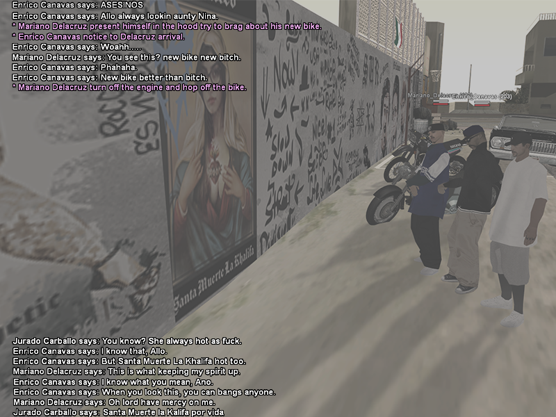 SS1.png