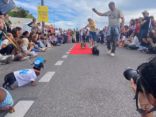 [Image: temp-Imagecgcws-F.avif]