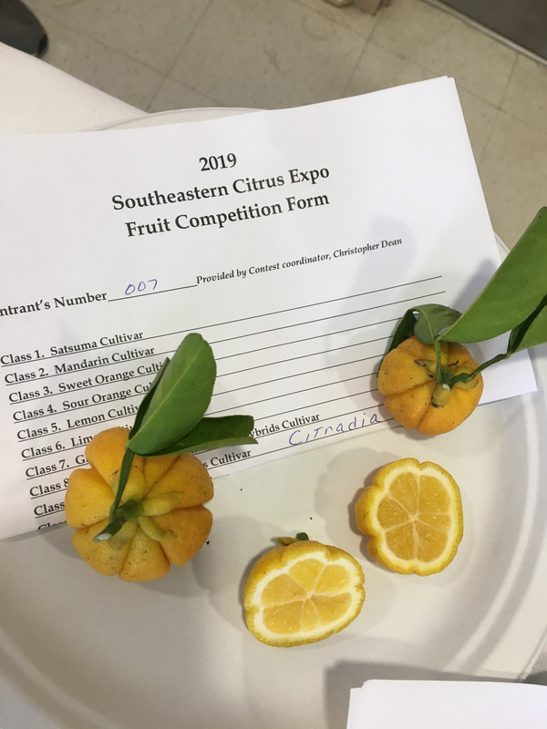 2162F305-869E-4185-9154-8B5F08551863