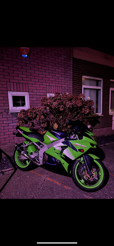 52100A91-0E22-4530-8390-4B2F7918AF7F