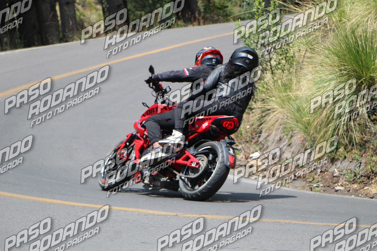 IMG 1680 wm 11402916 2 watermarked — Postimages