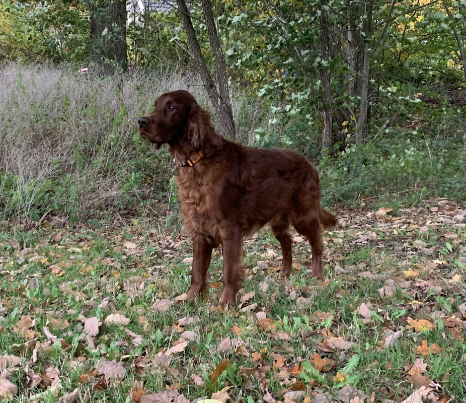 B5A37376-DBB2-4DFC-9D52-EAB0CF58C287_1_201_a