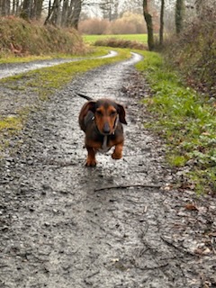 [Image: IMG-20240402-122648.jpg]