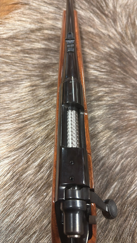 processed-C3ED3C3A-7C96-4E06-AAEF-1D771A9AD8EB