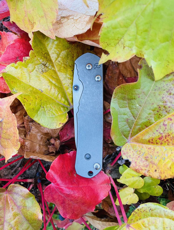 D62CBE63-1642-406D-B98C-42D0C57D52D2