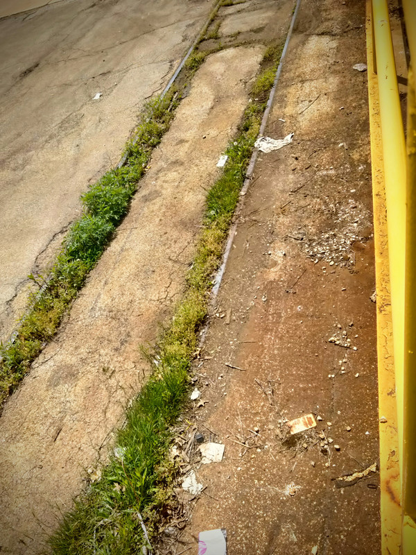 IMG_20220505_140743~2