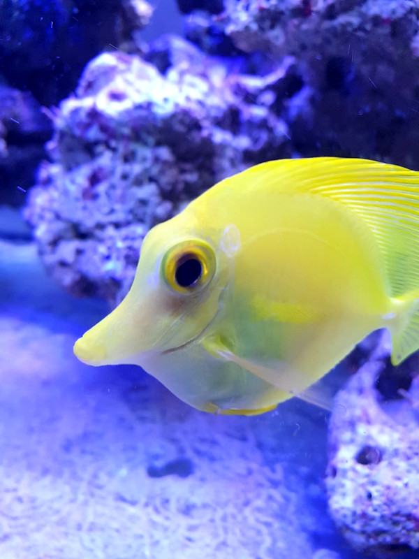 20200324_155307_capture(0)