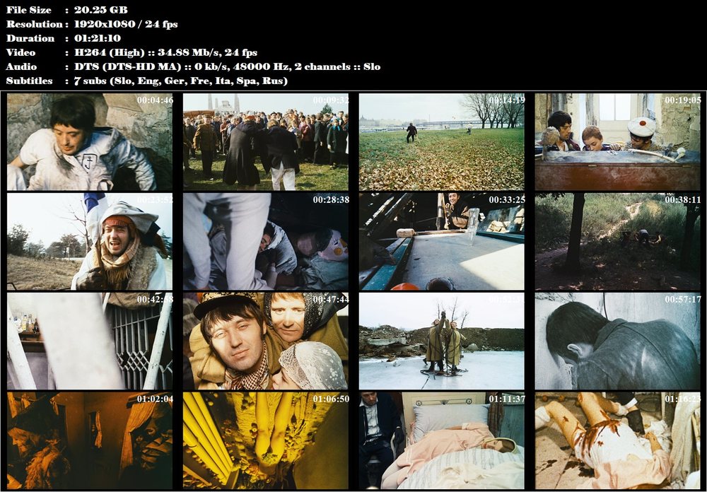 Vtáčkovia, siroty a blázni (1969)