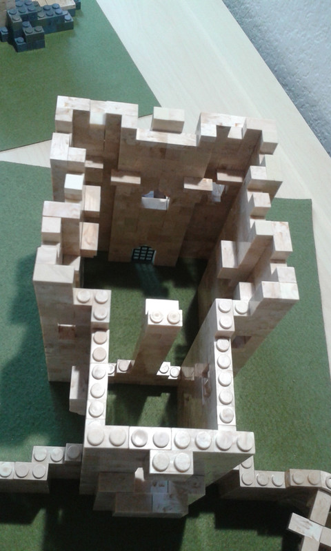 Construccion (7)
