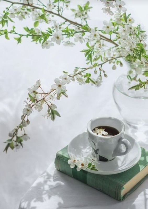 Screenshot_20240428_230707_Pinterest