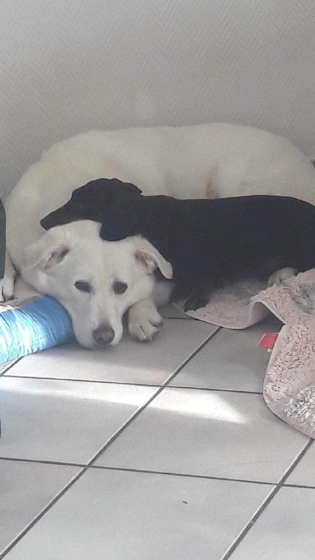 [Image: received-411524241155863.jpg]