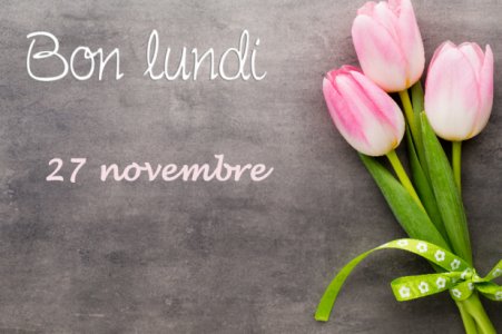 27-nov.jpg
