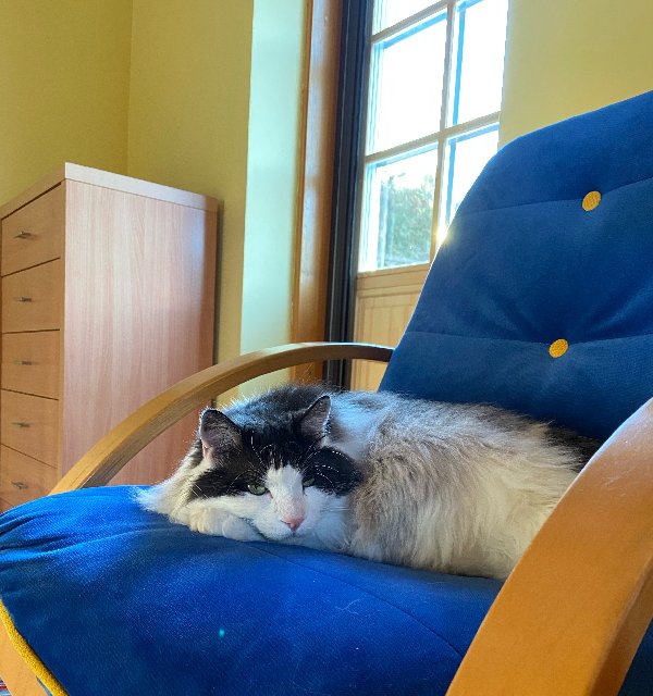 BB95035-B-23-F7-4-E40-AE14-6-E723-AC36-A