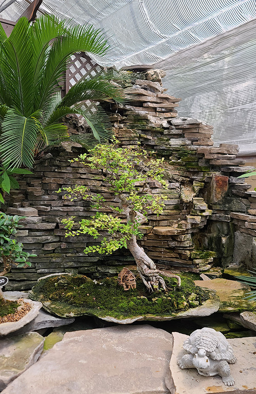 [Image: 20240723-125328.jpg]