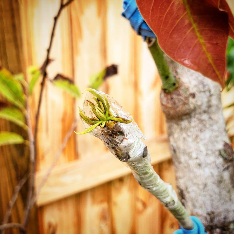 received_1828017787304682