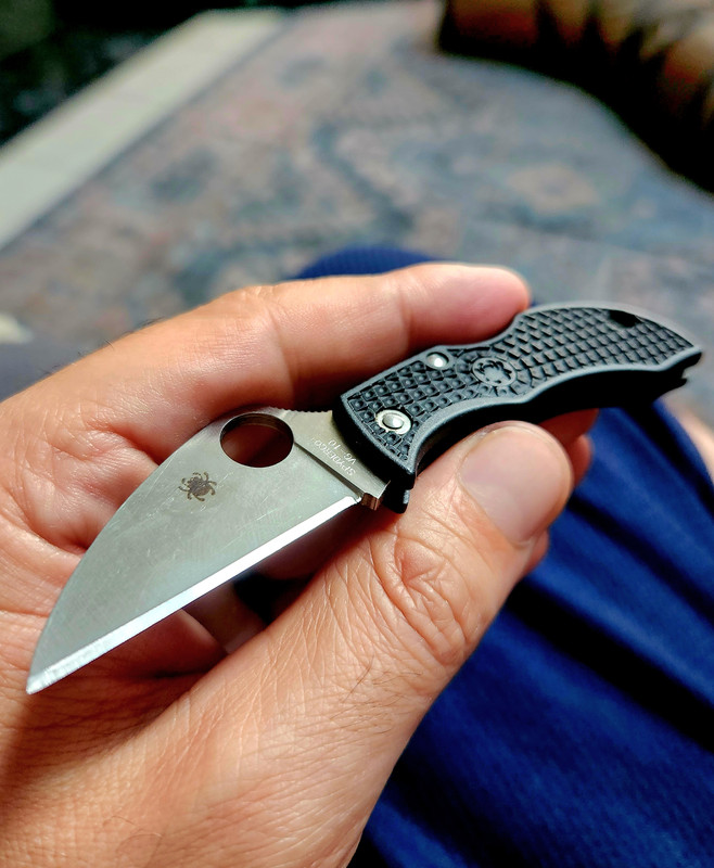 Community Sharpening Journal - Page 94 - Spyderco Forums