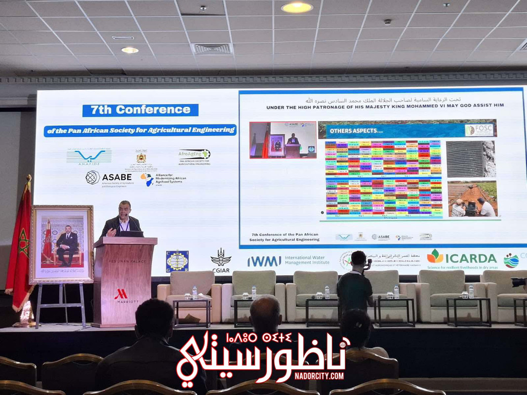 552036945-3196384417178843-8055632695713204061-n