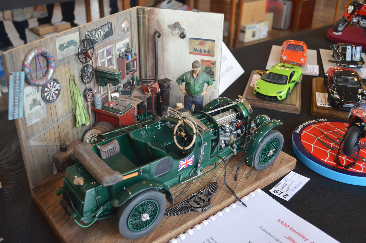 Žamberecký divočák 2019 067