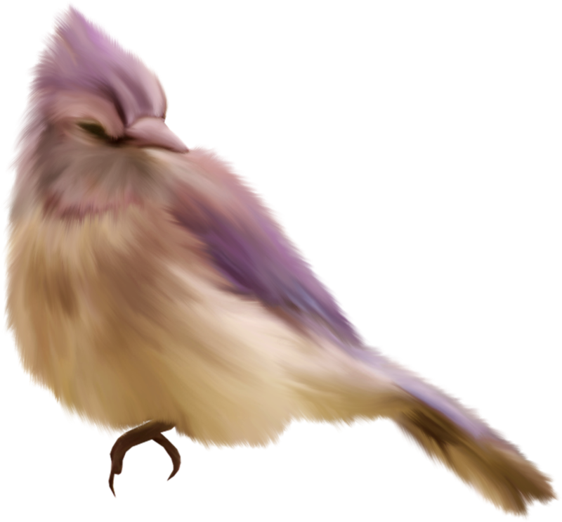 0_1c0e05_8195c801_orig