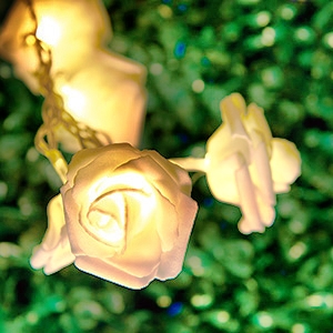 Solar String Light80478