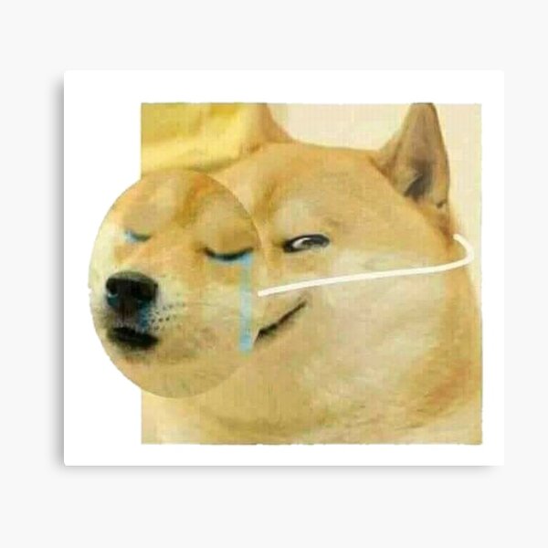 8F847421-A96F-4480-B5B1-6ADCB4012C10