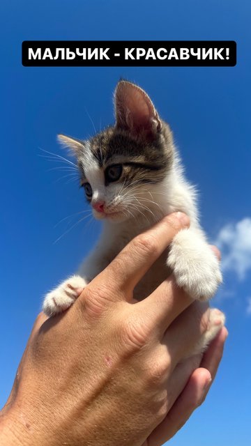 E0BAB91F-5561-40A3-9AF1-2938DB449DA9