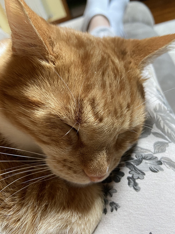 58C51CF6-3AEC-424A-8043-C657E86B1390