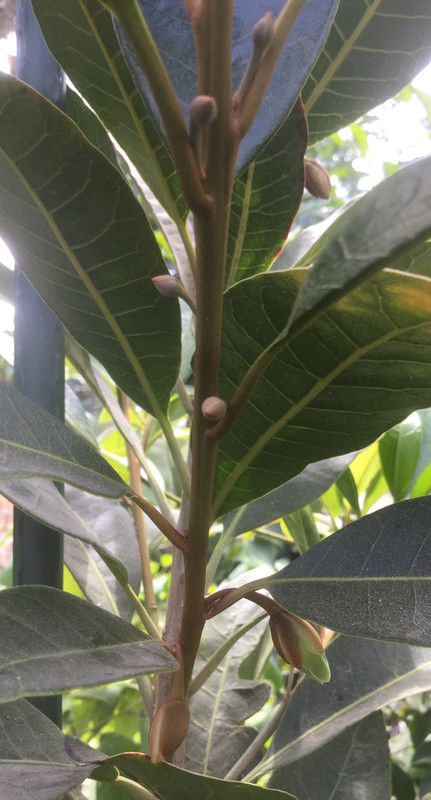 40BD97FD-80EB-4221-A323-48DCD704DDFD