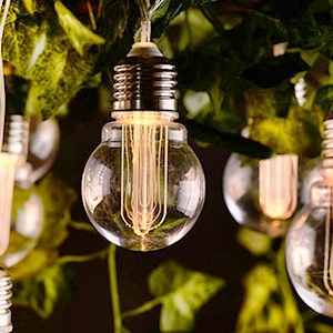 Solar String Light 81946