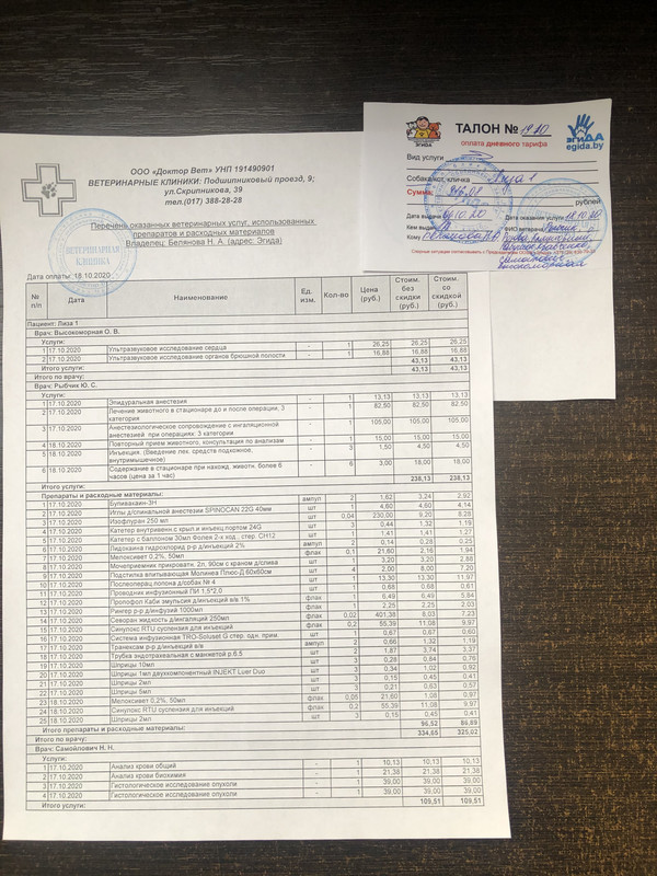 183DBA84-5C13-4E7B-8A6F-2C25D219B9F6