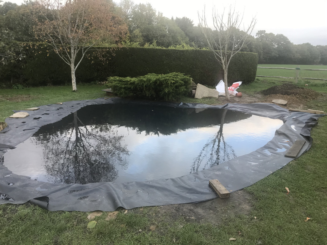 15D9B6D6-B5DE-4C98-B319-FCD6C74A0C56