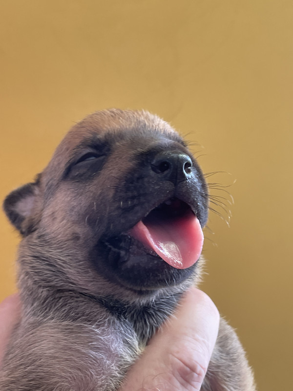 258A5442-E80E-446E-8206-770B8766C811