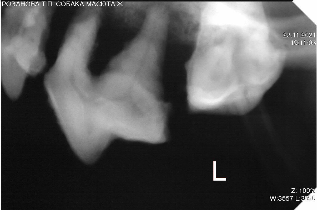 A7A49312-5D59-4D3B-BF57-5459E4100E78