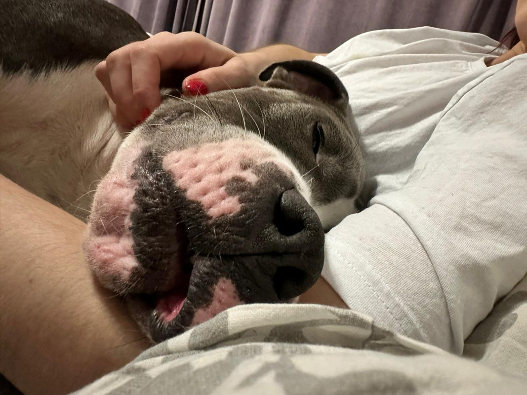 5E23045C-AE34-4AC2-B9D7-094174068AC4