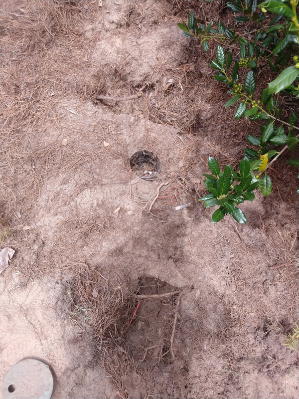 IMG_20200815_130715082