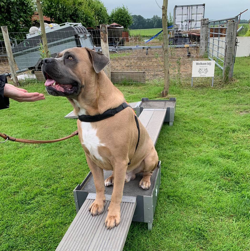 217325059_2674998172793443_550959338794790686_n