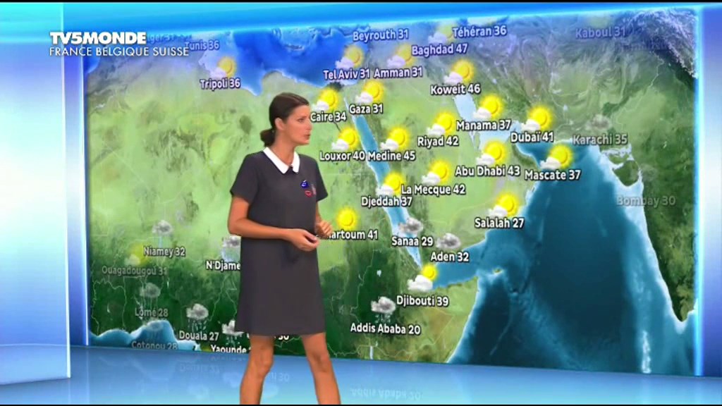 Sandrine Scourneau 290817.mp4_snapshot_01.38_[20