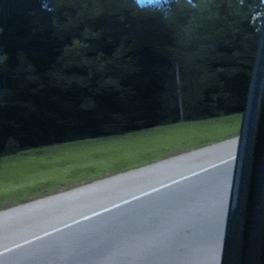 daily-gifdump-3420-09.gif