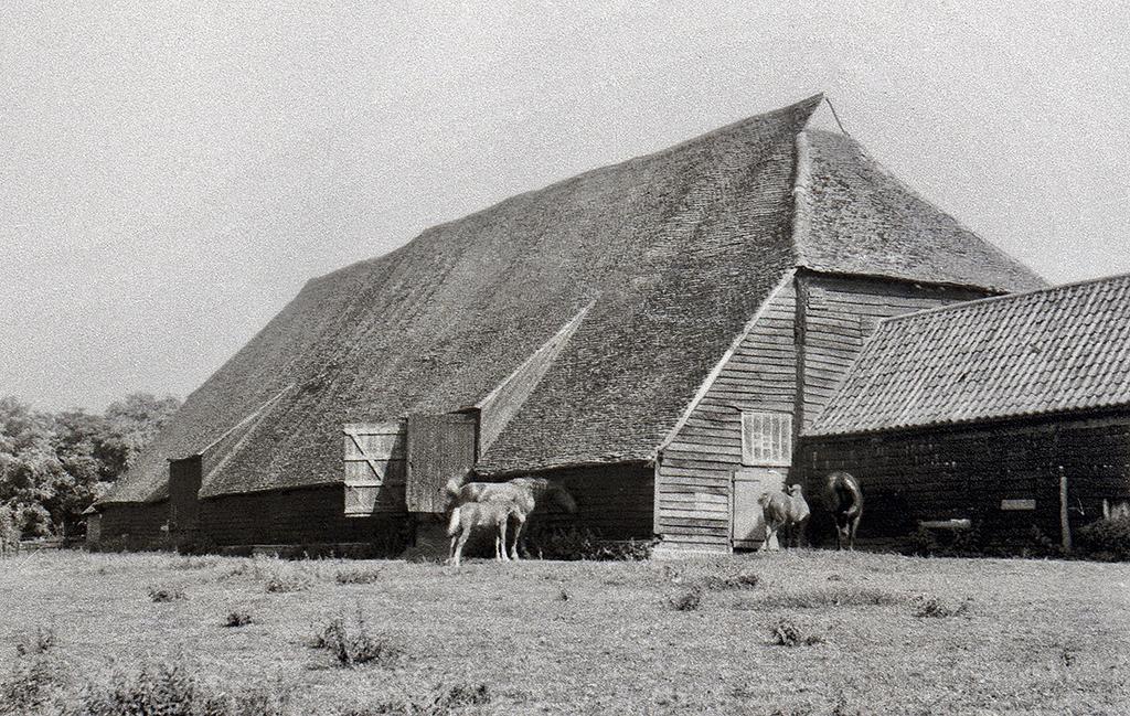 Пёстрая лента. Путешествие по сельским дорогам Англии в мае 2025 г.