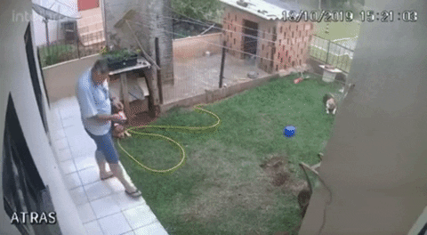 https://i.postimg.cc/JzZyZ63D/1.gif
