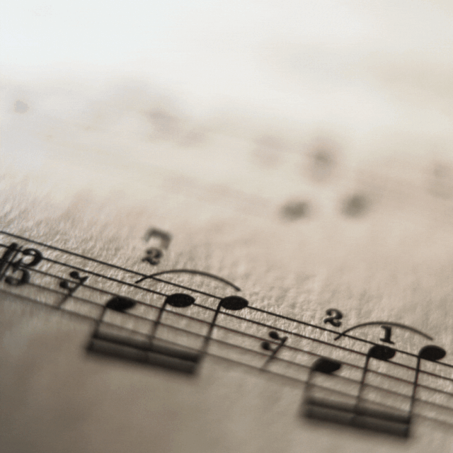 [Image: TCS-0009.gif]